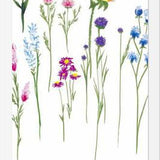 Cuadro Naturaleza