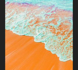 Cuadro Coral Shore