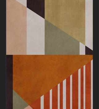 Cuadro Geometric Vision 2