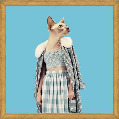 Cuadro Cat