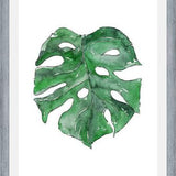 Cuadro Hoja Monstera