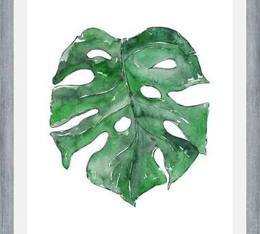 Cuadro Hoja Monstera