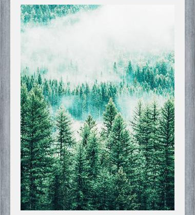 Cuadro Forest and Fog