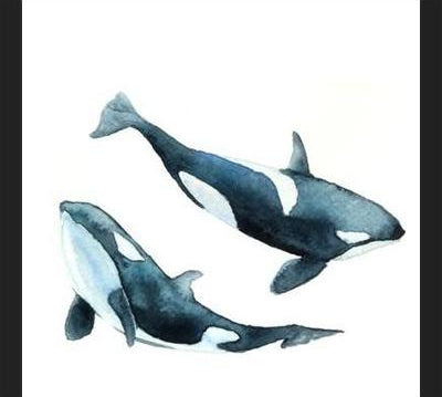 Cuadro Las Orcas