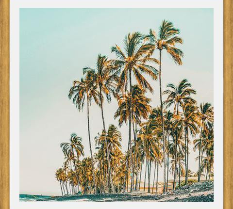 Cuadro Island Life III