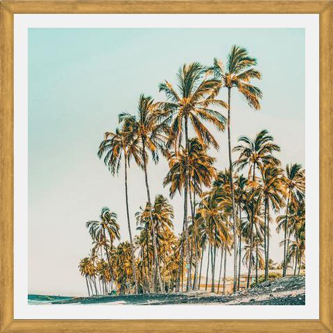 Cuadro Island Life III