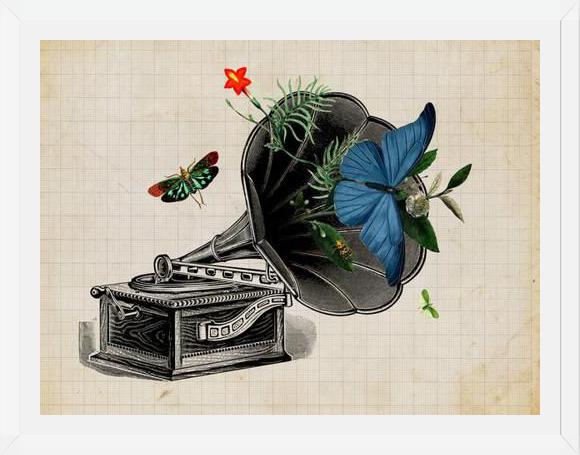 Cuadro Gramophone Vintage