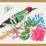 Cuadro Pájaro carpintero