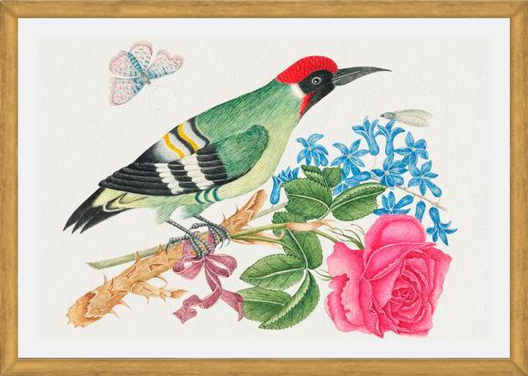 Cuadro Pájaro carpintero