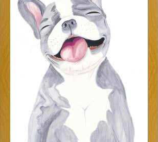 Cuadro Bulldog Frances Gris