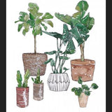 Cuadro Plantas
