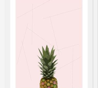 Cuadro Piña?