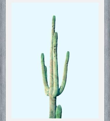 Cuadro Loner Cactus