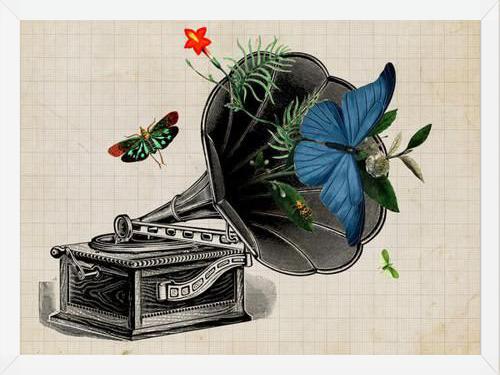 Cuadro Gramophone Vintage