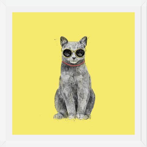 Cuadro Summer Cat