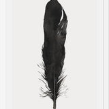 Cuadro Pluma Acuarela 1