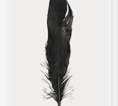 Cuadro Pluma Acuarela 1