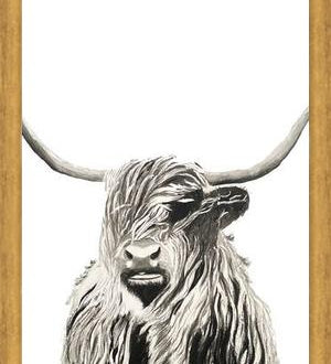 Cuadro Highland cow watercolor