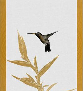 Cuadro Hummingbird and Flower II