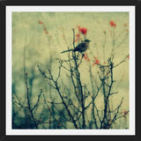 Cuadro Autumn Bird