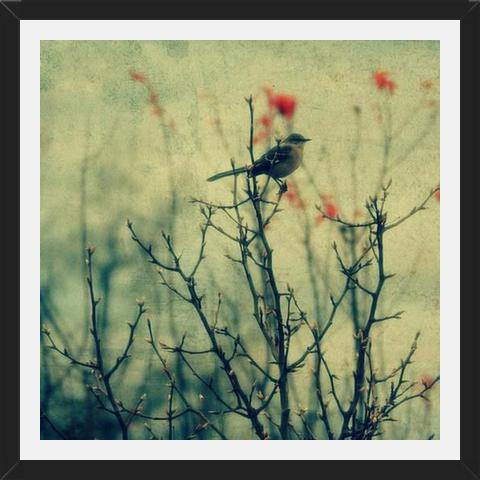Cuadro Autumn Bird