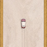 Cuadro Techo escarabajo