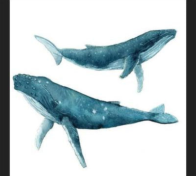 Cuadro Ballenas