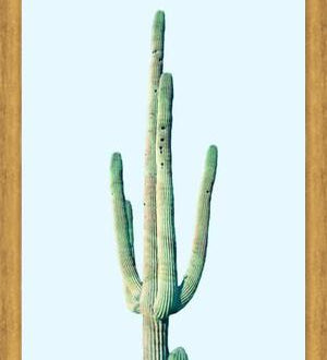 Cuadro Loner Cactus