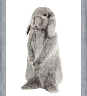 Cuadro conejito gris