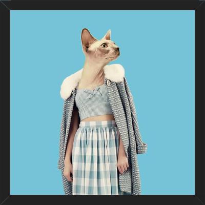 Cuadro Cat