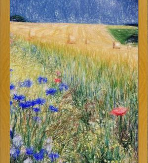 Cuadro Flowery Field