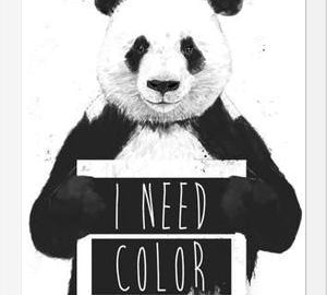 Cuadro I need color