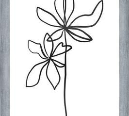 Cuadro Lines Leaves