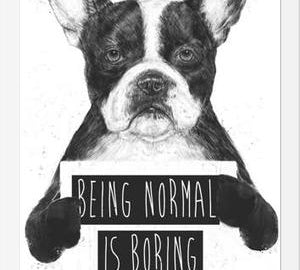 Cuadro Being normal is Boring