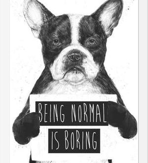 Cuadro Being normal is Boring