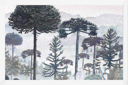 Cuadro Mural Bosque de Araucarias