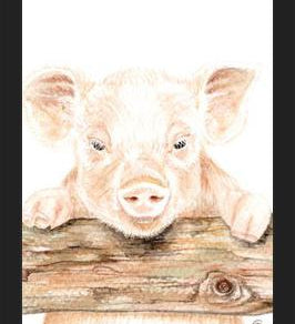 Cuadro cerdito