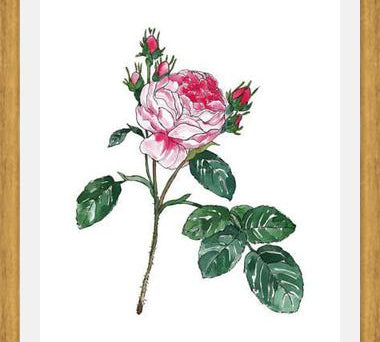 Cuadro Rosa I