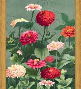 Cuadro Flores