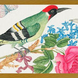 Cuadro Pájaro carpintero