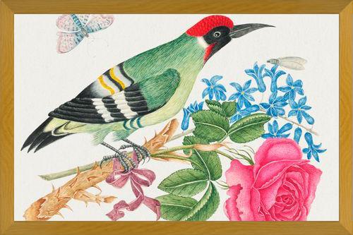 Cuadro Pájaro carpintero