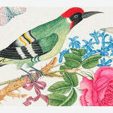 Cuadro Pájaro carpintero