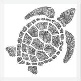 Cuadro Tortuga2