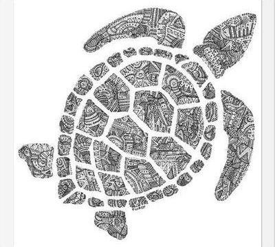 Cuadro Tortuga2