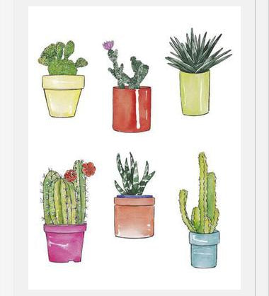 Cuadro CACTUS & PASTEL