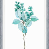 Cuadro Eucalipto 02