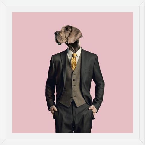 Cuadro Dog
