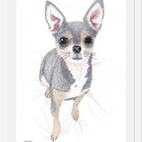Cuadro Chihuahua