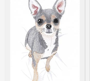 Cuadro Chihuahua