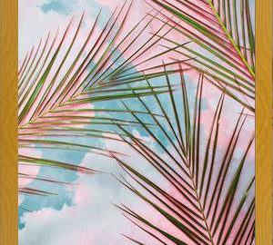 Cuadro Palms + Sky